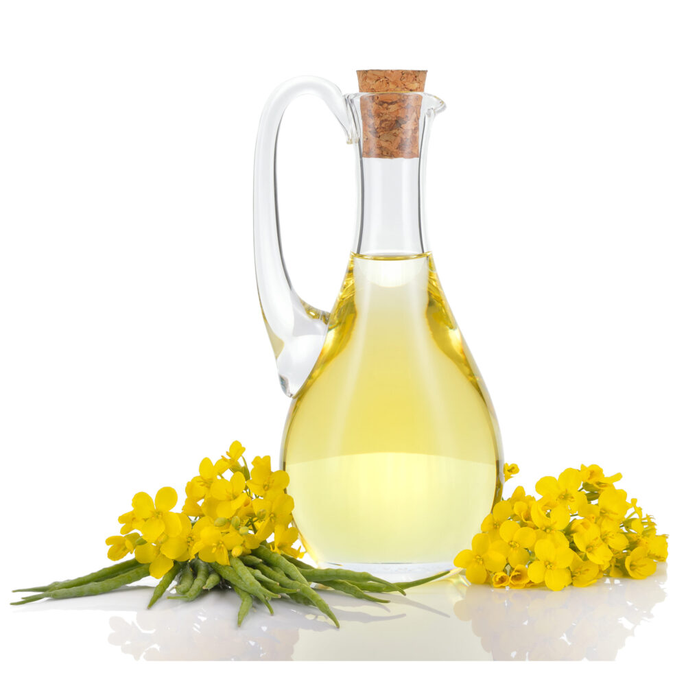 rapeseedoil_560x560 scaled e1791204821289